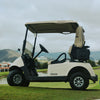 Hielera Golf 9 Qt